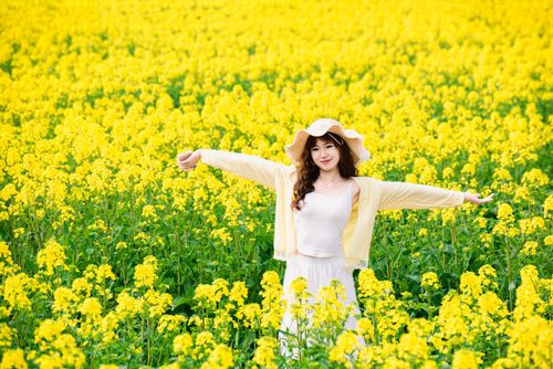 Free Woman spreading arms joyfully in a vibrant yellow flower field under the sun. Stock Photo