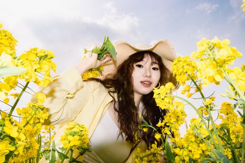 Free Young woman in a yellow dress and hat stands among bright yellow flowers under a sunny sky. Stock Photo