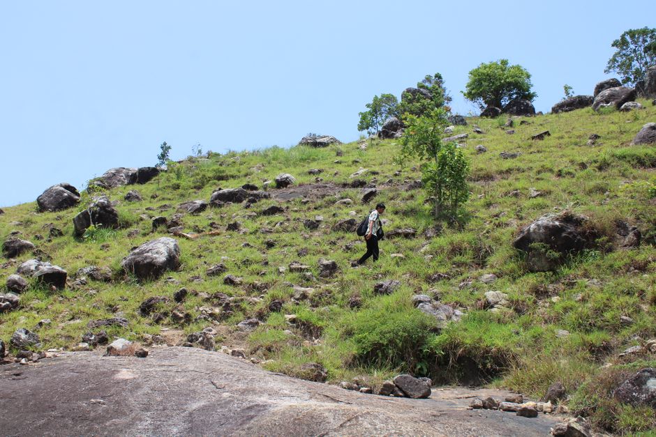 Learning Resilience: My Unexpected Adventure in Afi Mountain