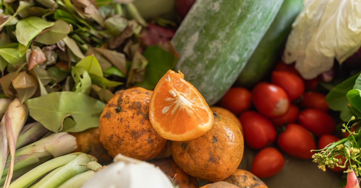 From Food Waste to Feast: 15 Zero-Waste Recipes That Save Money and the Planet