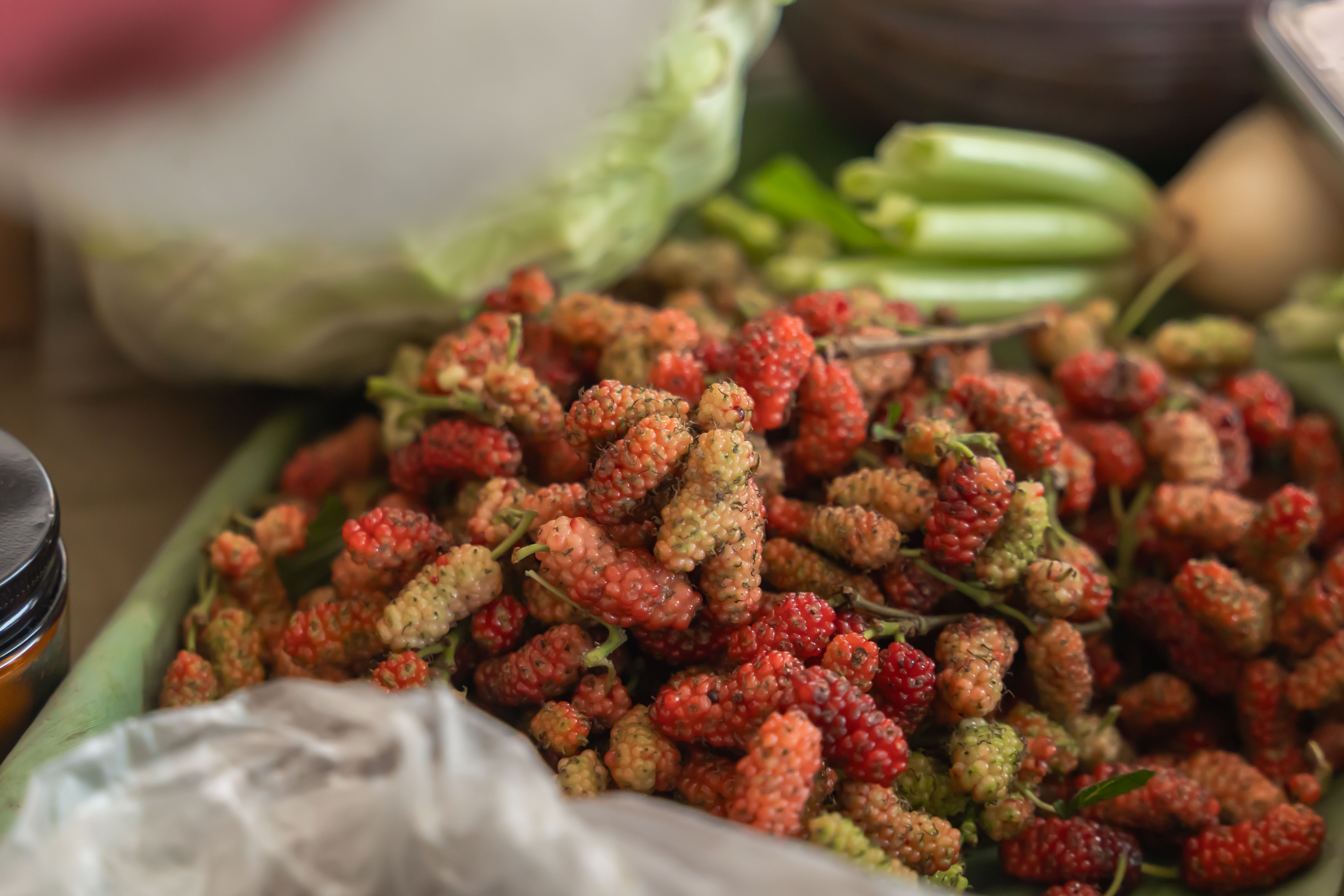 Mulberries - food photo