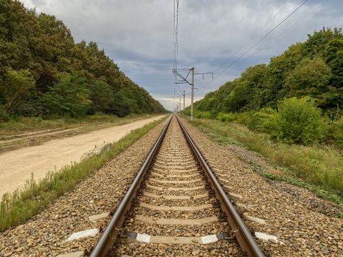 Free Straight railway tracks through a lush forest under a cloudy sky. Stock Photo