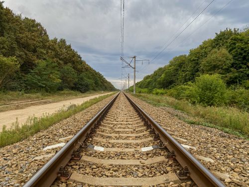 Free Railway tracks stretch through a green forest under a cloudy sky. Ideal for travel concepts. Stock Photo