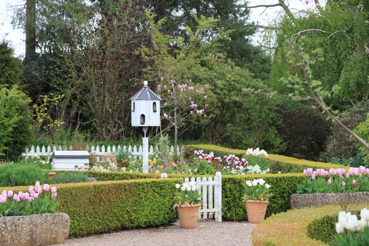 Stone path through a naturalistic perennial garden