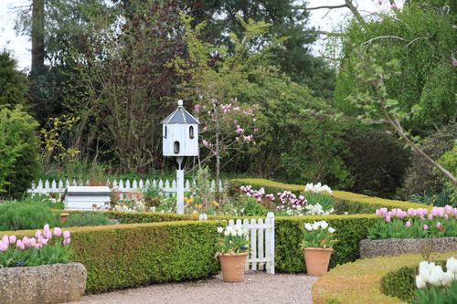 Free A delightful garden in Bridgemere, England, showcasing vibrant spring flowers and a quaint birdhouse. Stock Photo