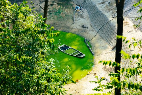 Free Aerial shot of a boat on an algae-covered pond amidst lush trees, showcasing nature's tranquility. Stock Photo