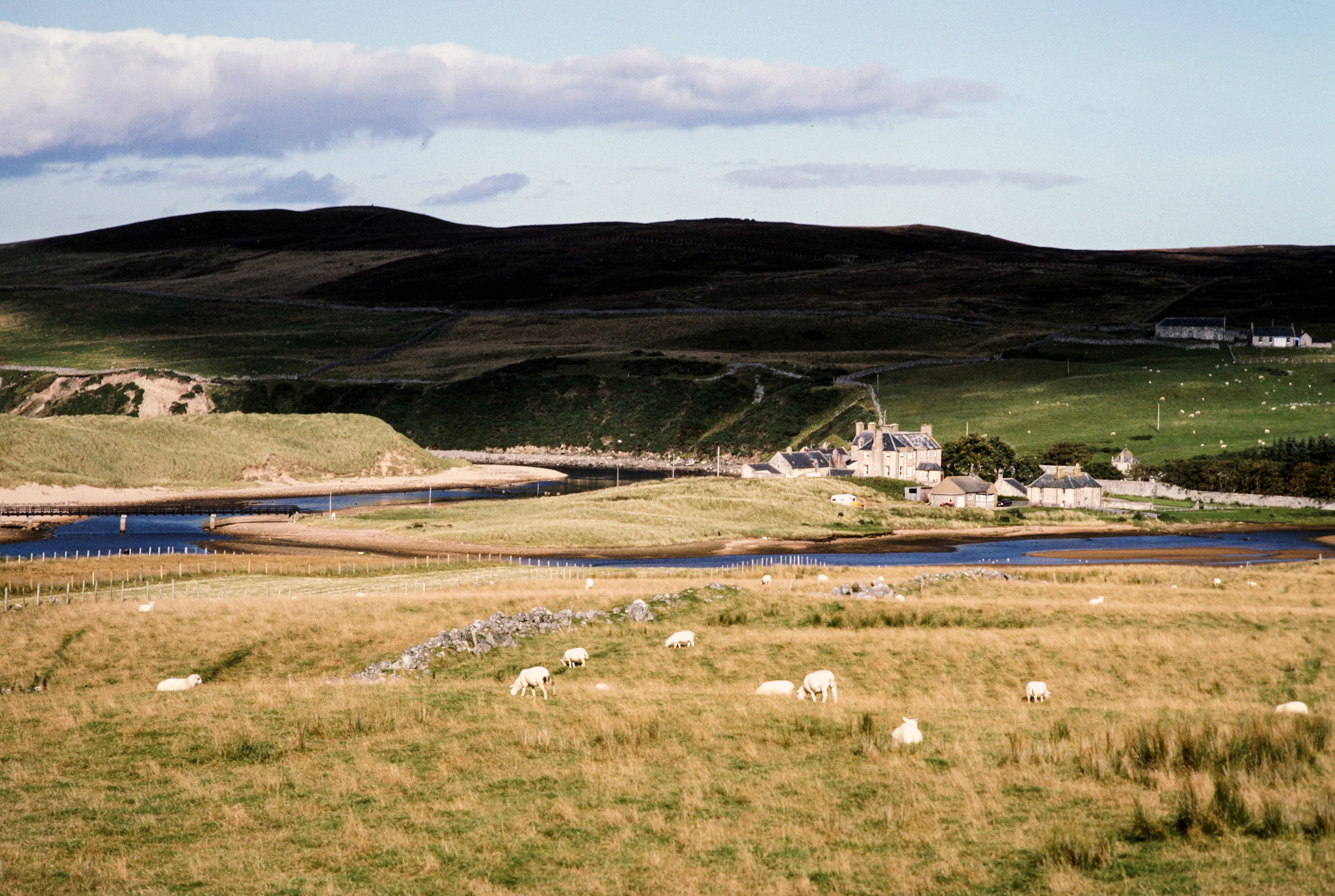 Peaceful view of the Scottish Highlands landscape with grazing sheep and traditional stone houses.