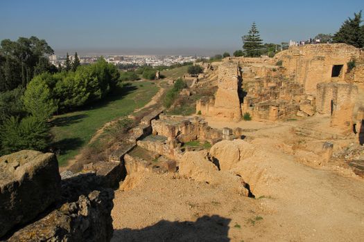 Carthage ancient ruins with archaeologist — Tunis