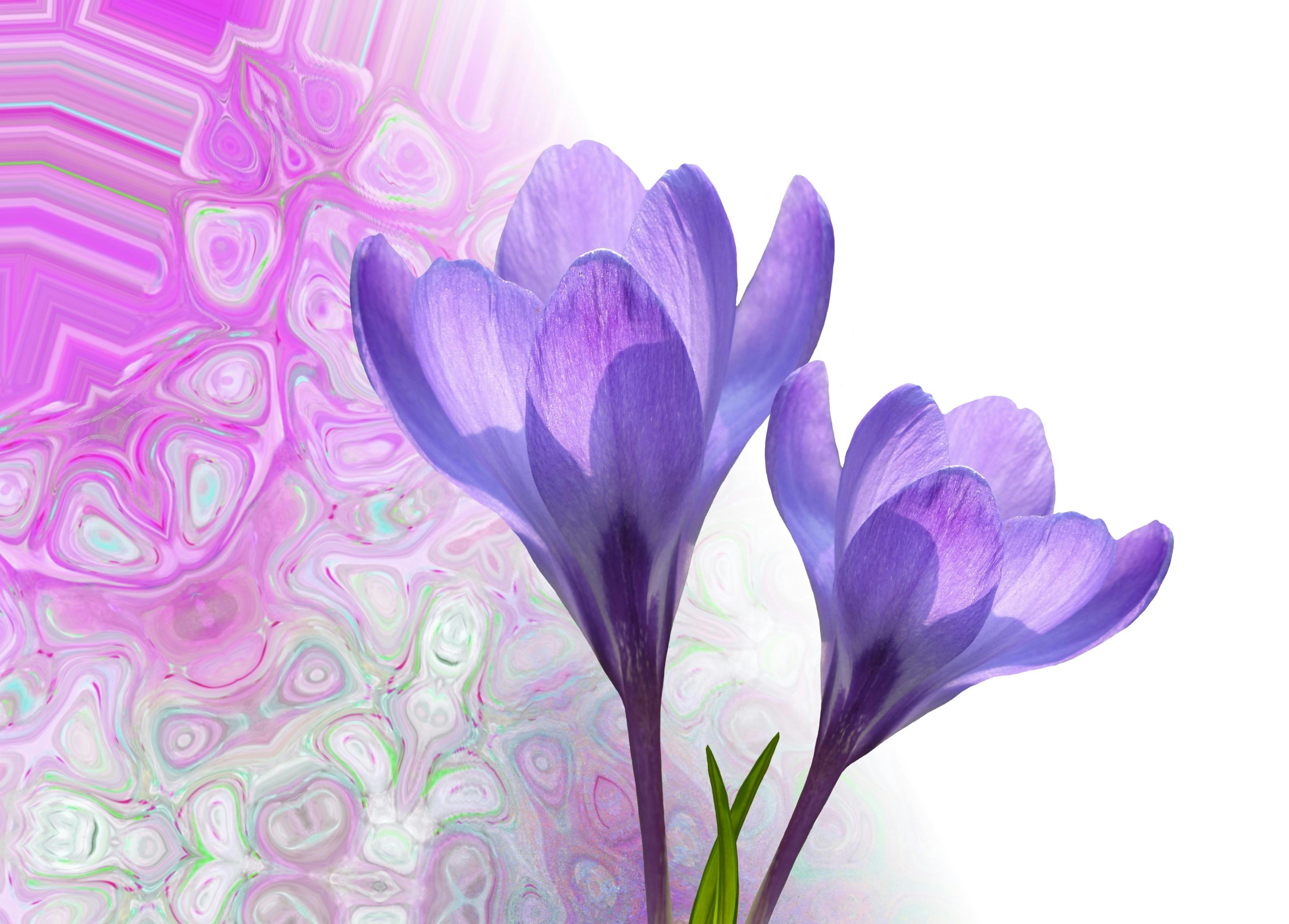 A relaxing garden retreat with a hammock, flowers, and a view of the mountains