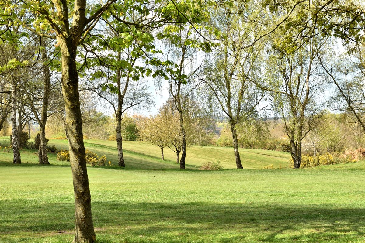 Resting Woods, Wainfleet St Mary, Lincolnshire