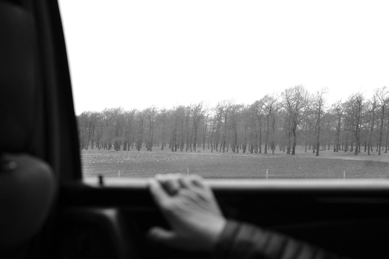 a monochrome view from a car window showing hand and bare trees outsid
