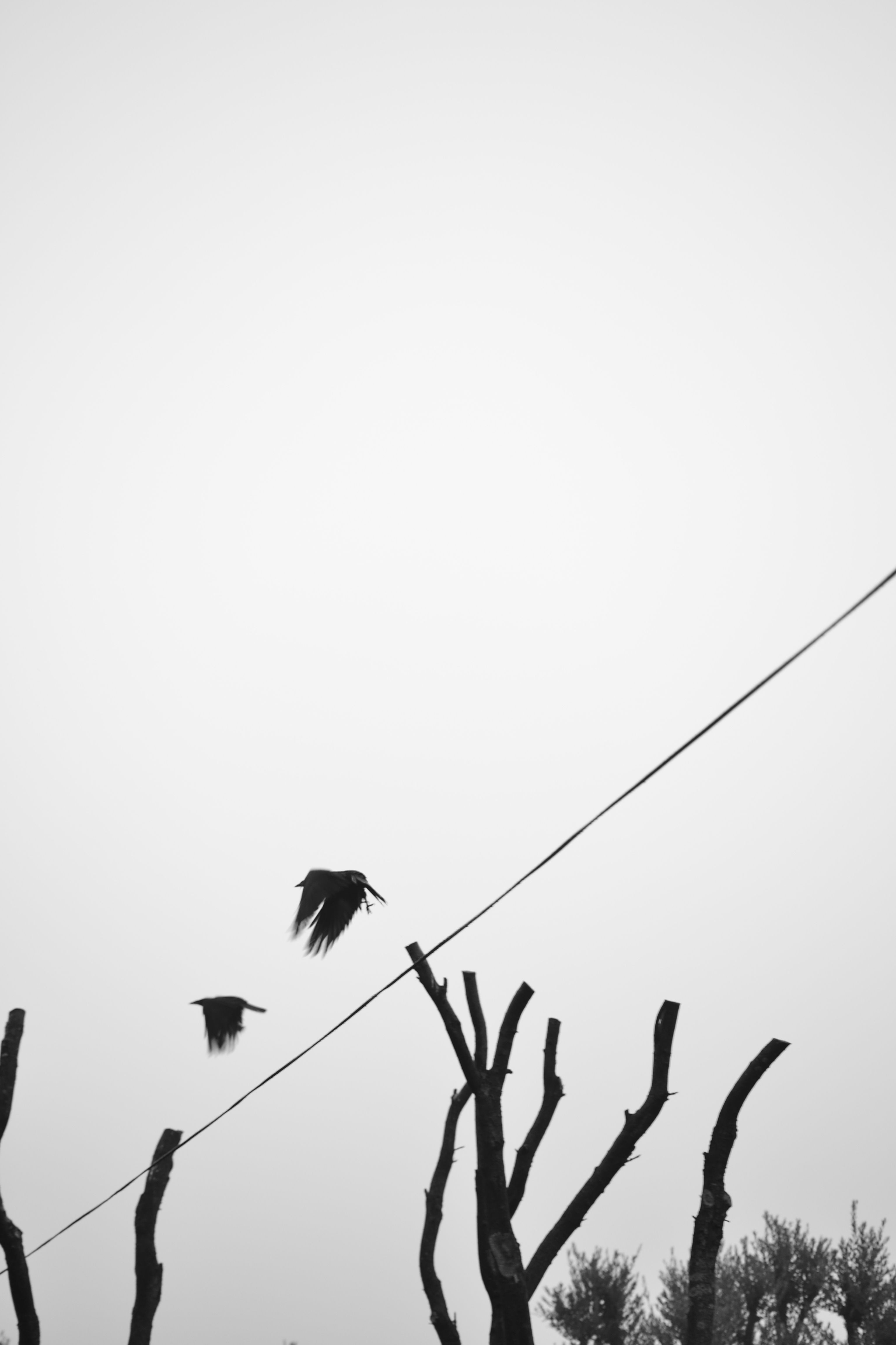 pexels photo 37178301