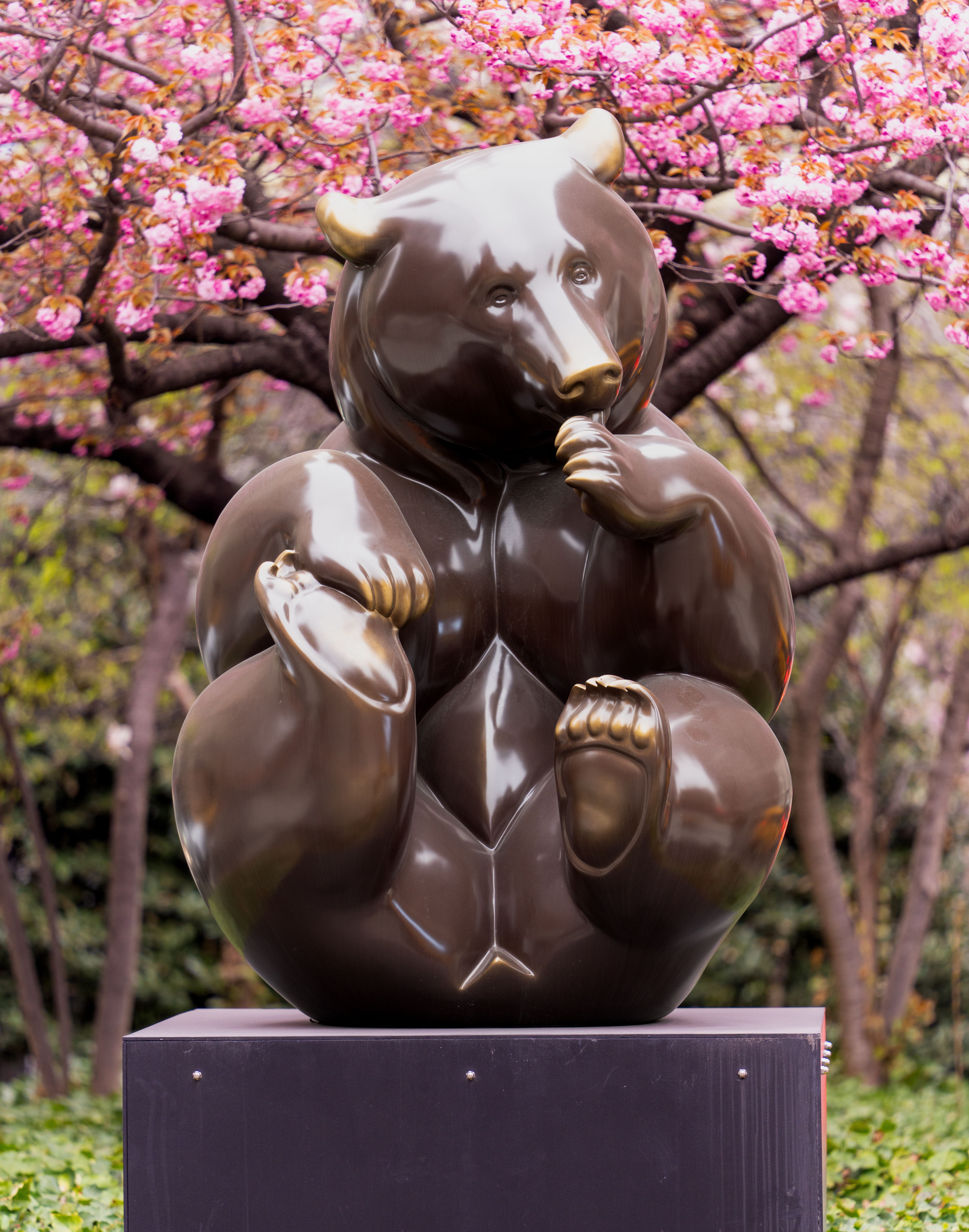 Bear Greg - A Seamless Future