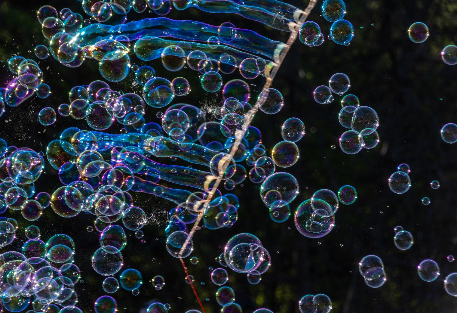 Almondbank — professional packers wrapping and boxing belongings