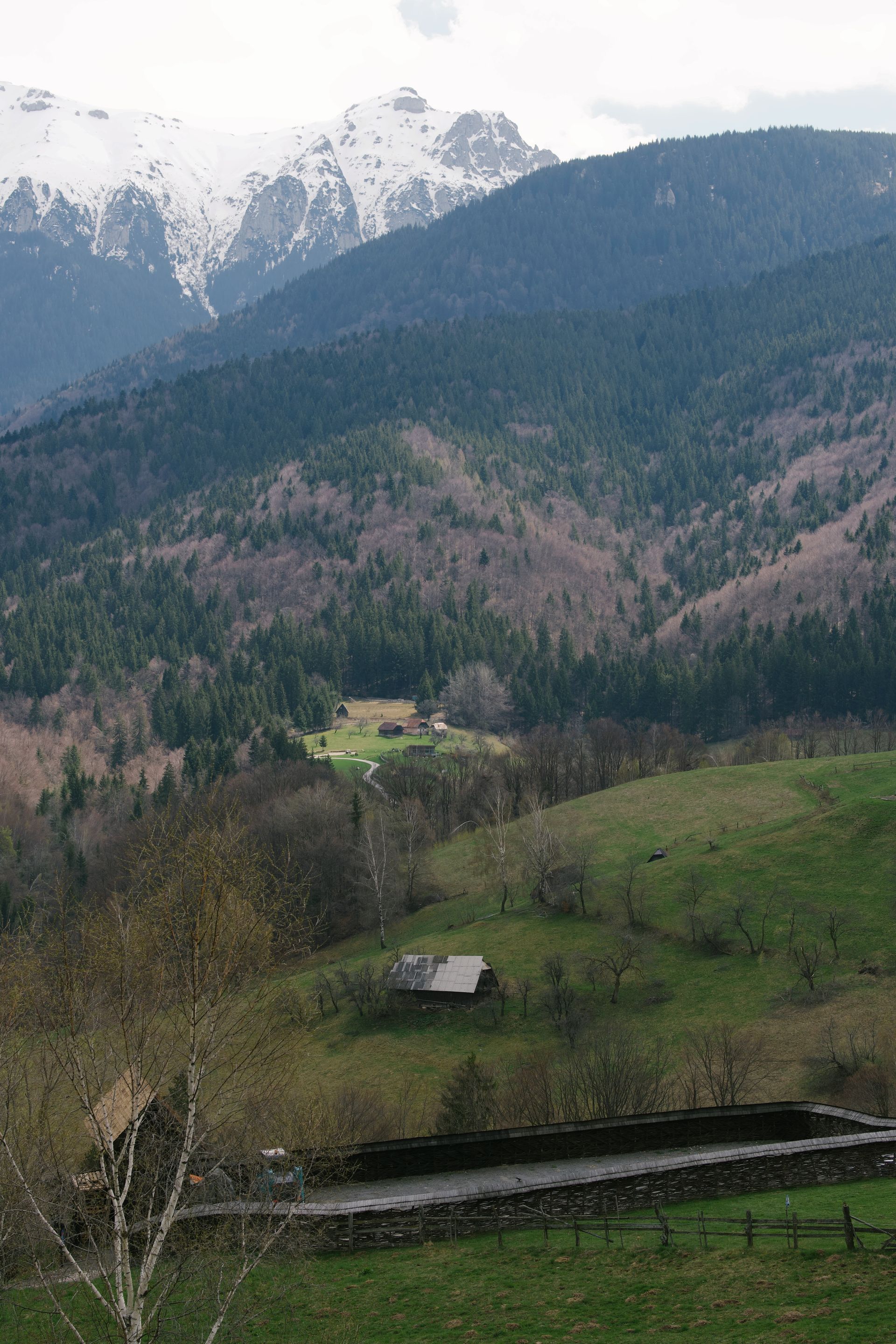 Șimon village with the Carpathian Mountains in the background.