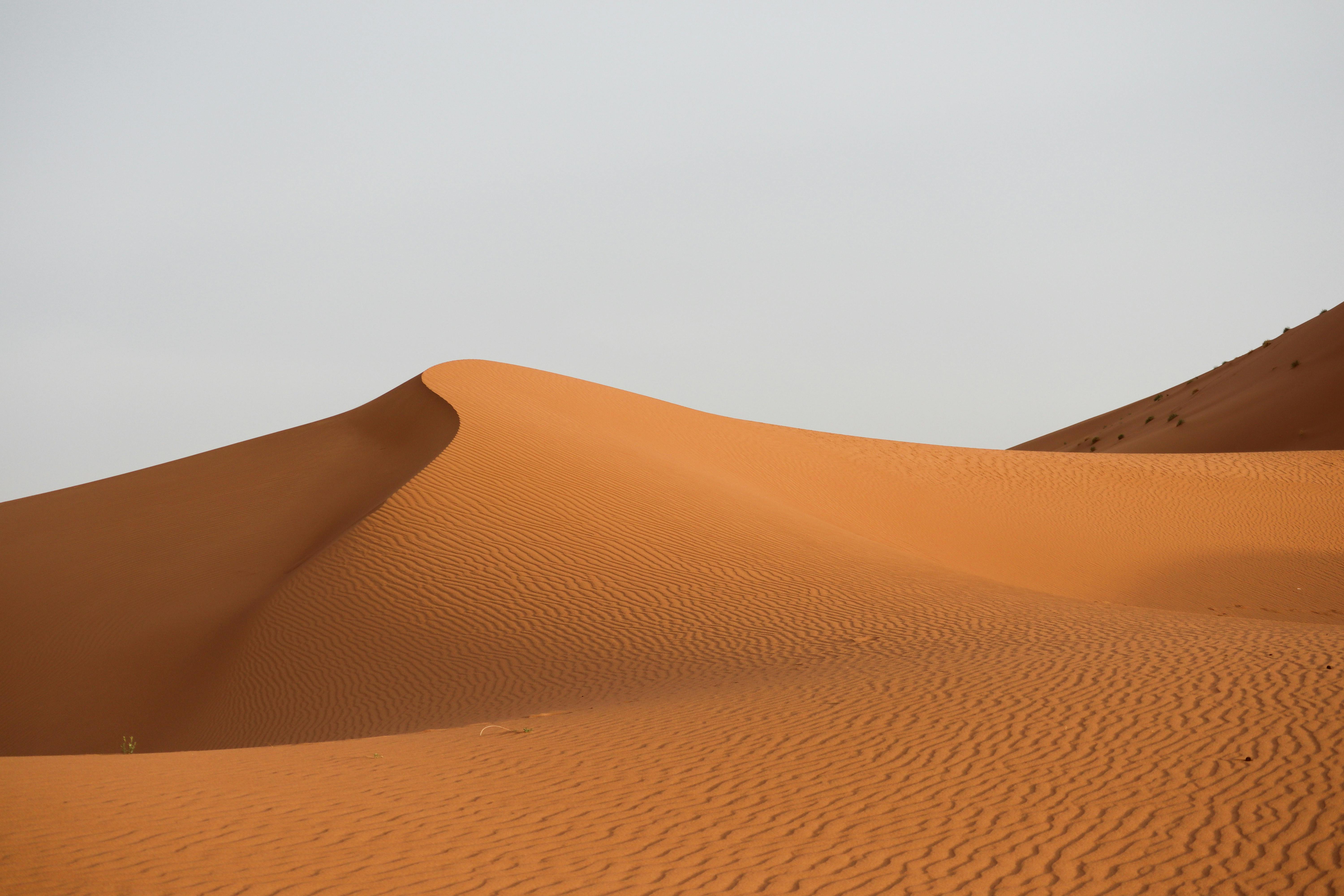 Beautiful rippled sand dunes in Drâa-Tafilalet, Morocco, embodying the vastness of the Sahara Desert.