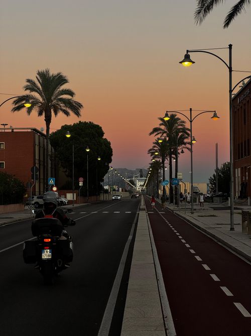 Free Serene evening street view in Olbia, Sardinia with palm trees and a motorbike at sunset. Stock Photo