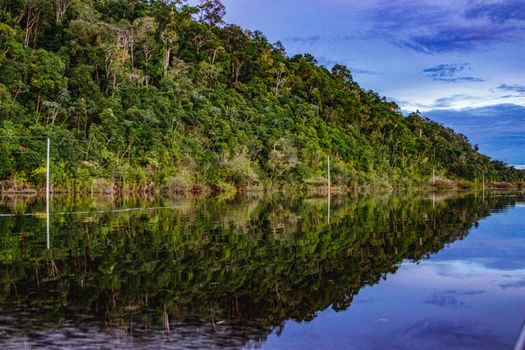 Kinabatangan river wildlife cruise — Borneo