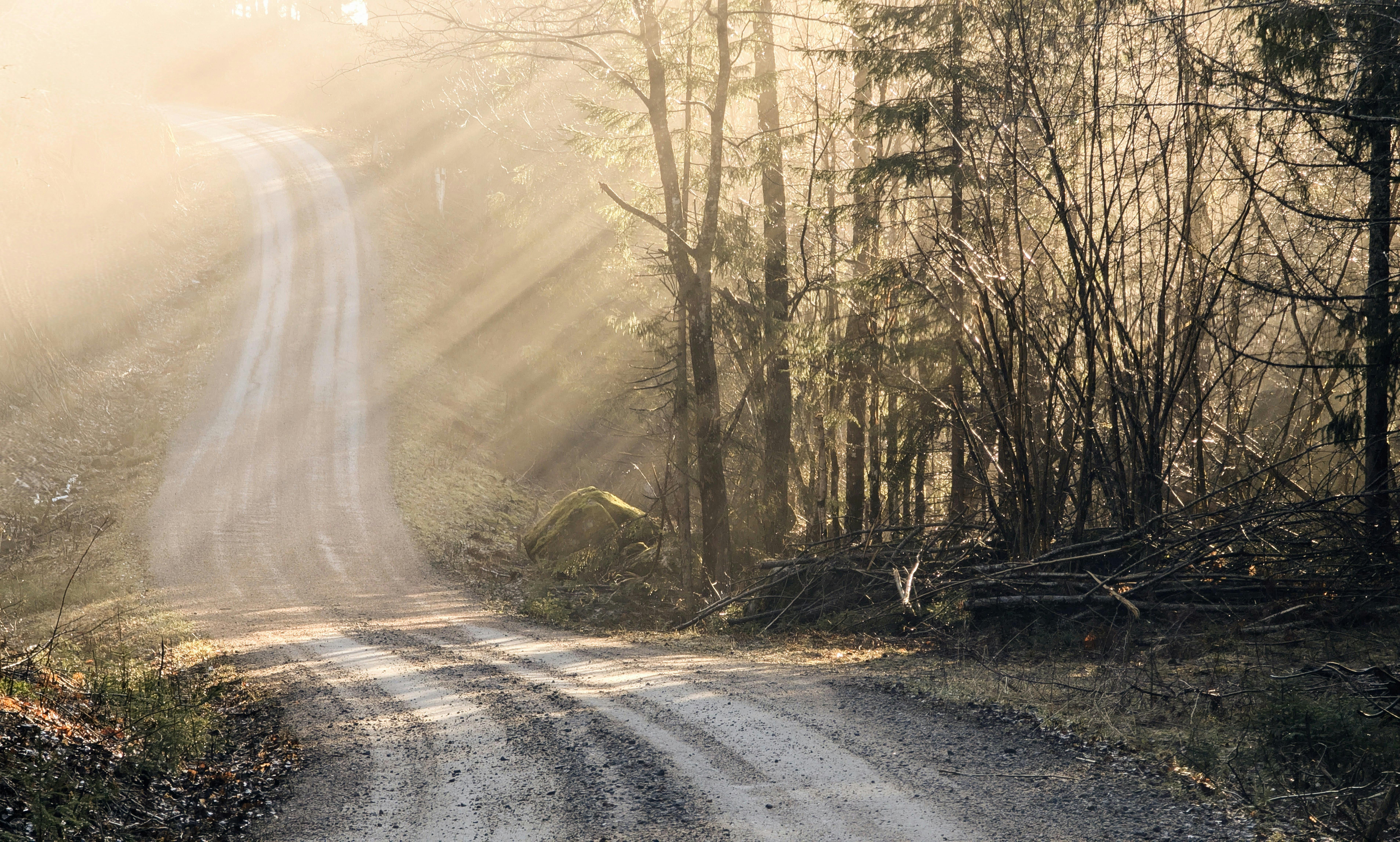 Healthspan White Paper: The Data-Driven Path to Longevity — Photo by Catarina  Kåsa on Pexels