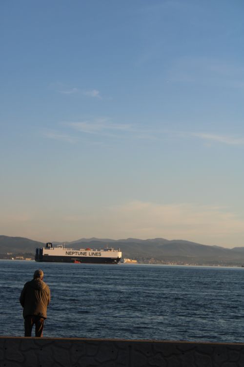 Free A person observes a Neptune Lines cargo ship cruising along a calm coastline under a clear sky. Stock Photo