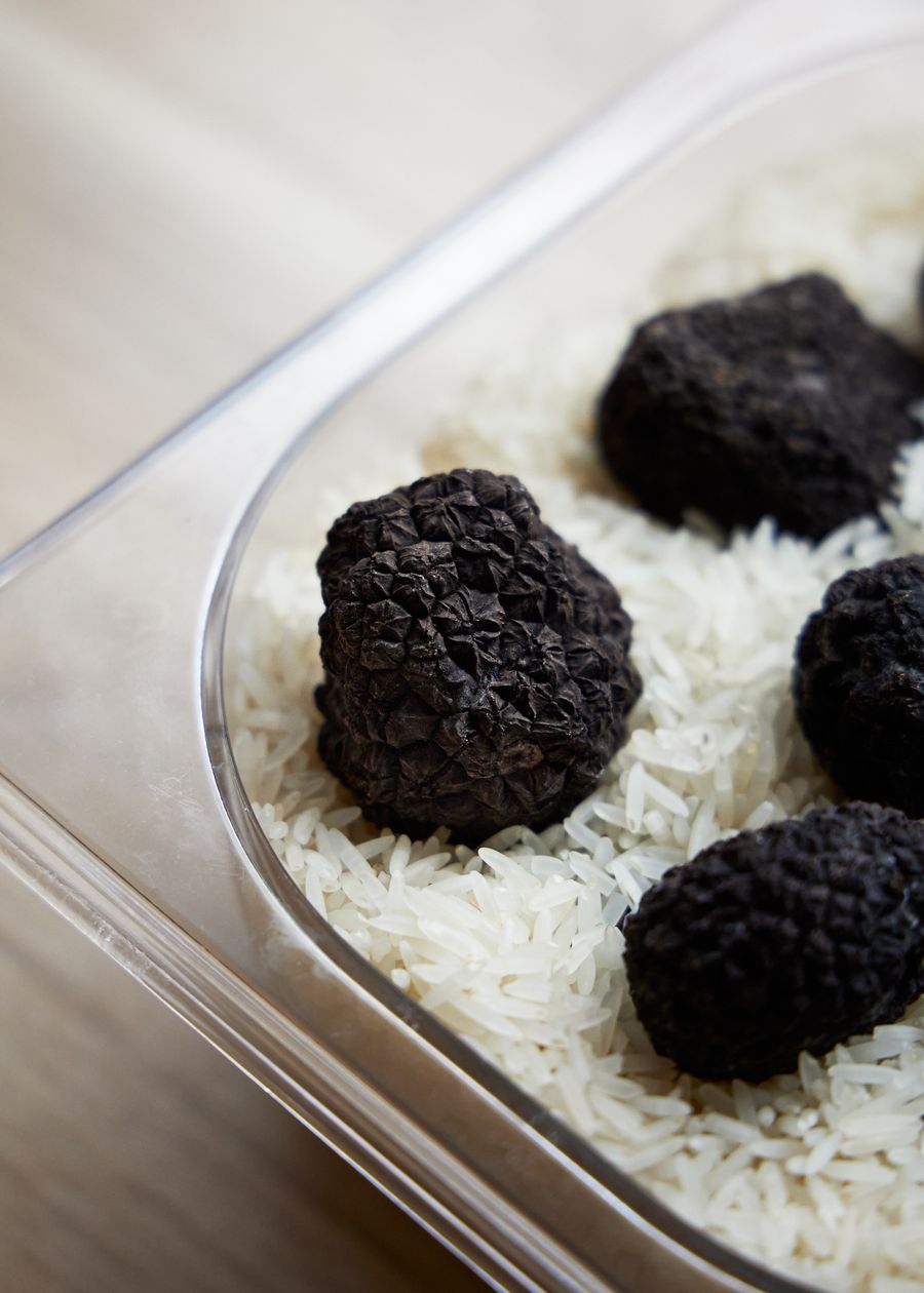 Fresh black truffles