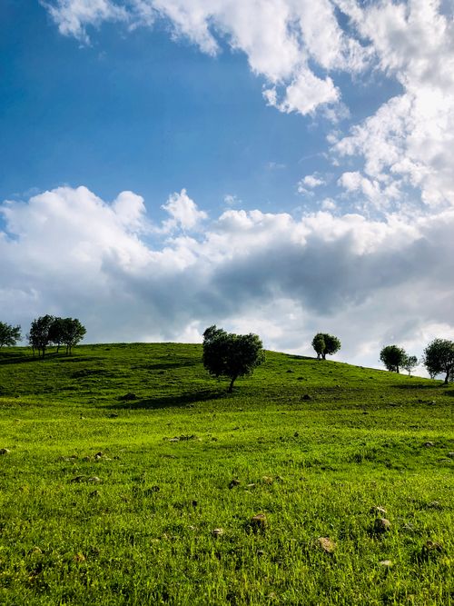 Free A scenic meadow with rolling green hills and scattered trees under a bright blue sky with fluffy clouds. Stock Photo
