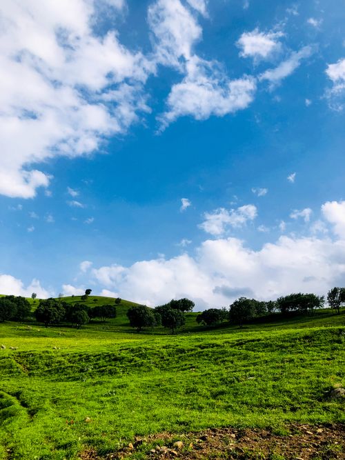 Free Vibrant green fields under a bright blue sky with fluffy clouds, evoking a sense of serenity and nature's beauty. Stock Photo