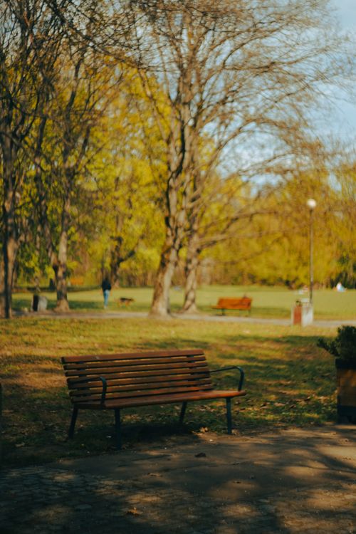 Free An empty wooden bench in a serene autumn park setting with blurred trees. Stock Photo