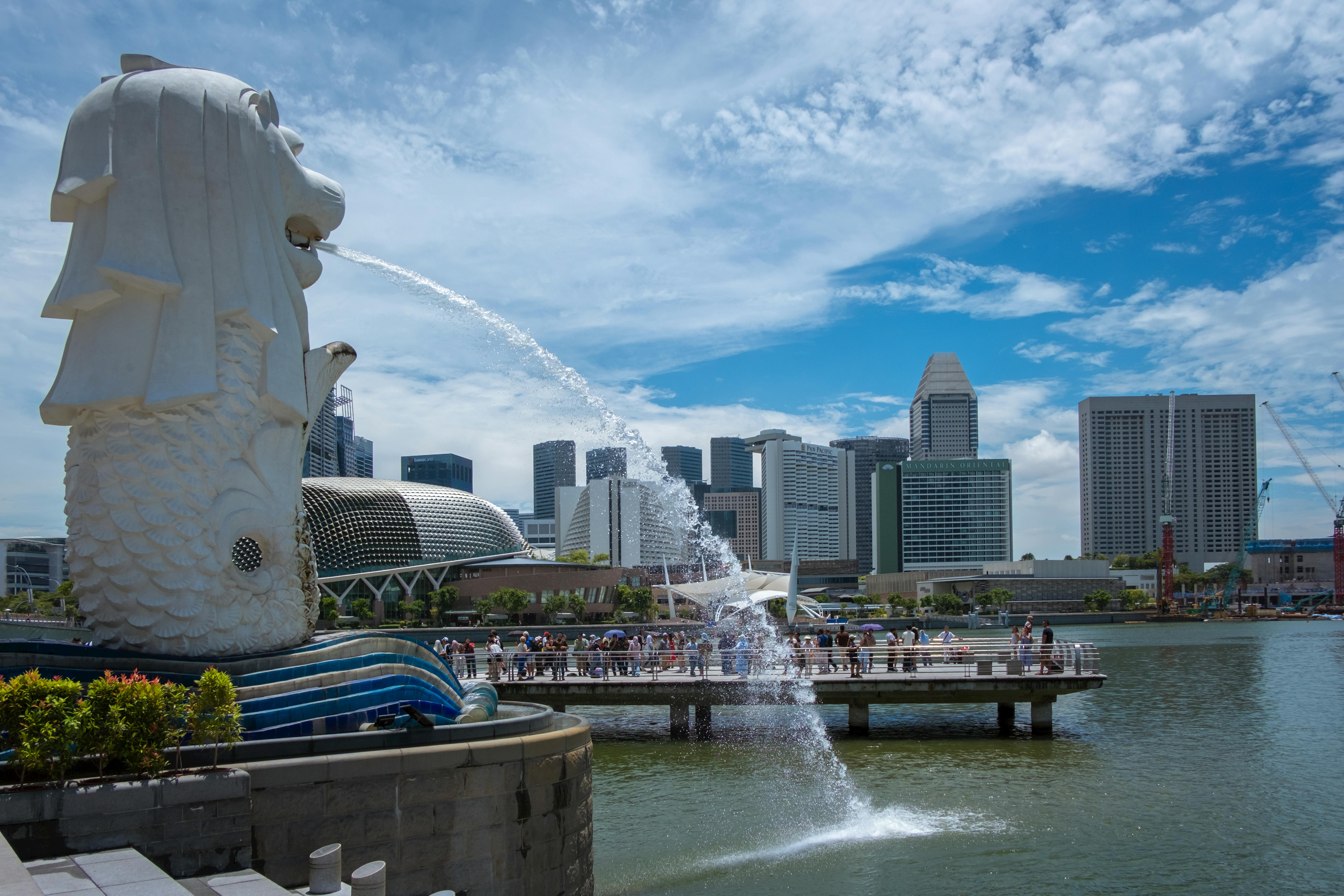 Singapore's Political Turmoil: WP's Secretary-General Faces Reprimand — Photo by Arian Fernandez on Pexels