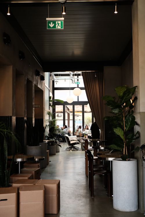 Free Cozy indoor café space in Ankara featuring lush plants and modern design elements with ambient lighting. Stock Photo