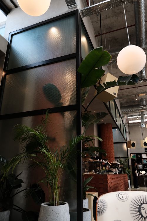 Free Contemporary cafe interior featuring large plants and circular overhead lights, creating a relaxed atmosphere. Stock Photo