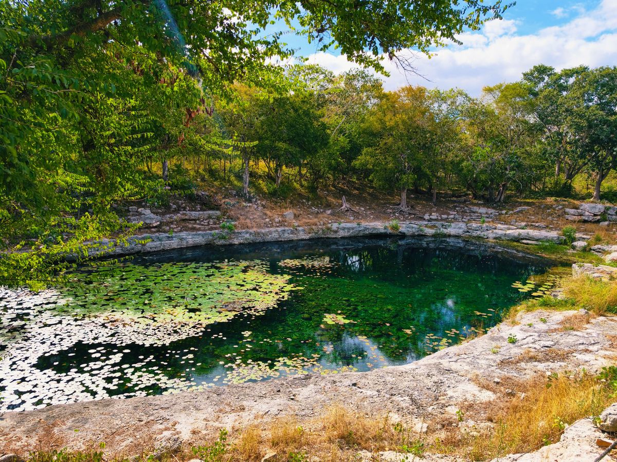 Explore the tranquil beauty of the sacred cenote at Dzibilchaltún, nestled in a