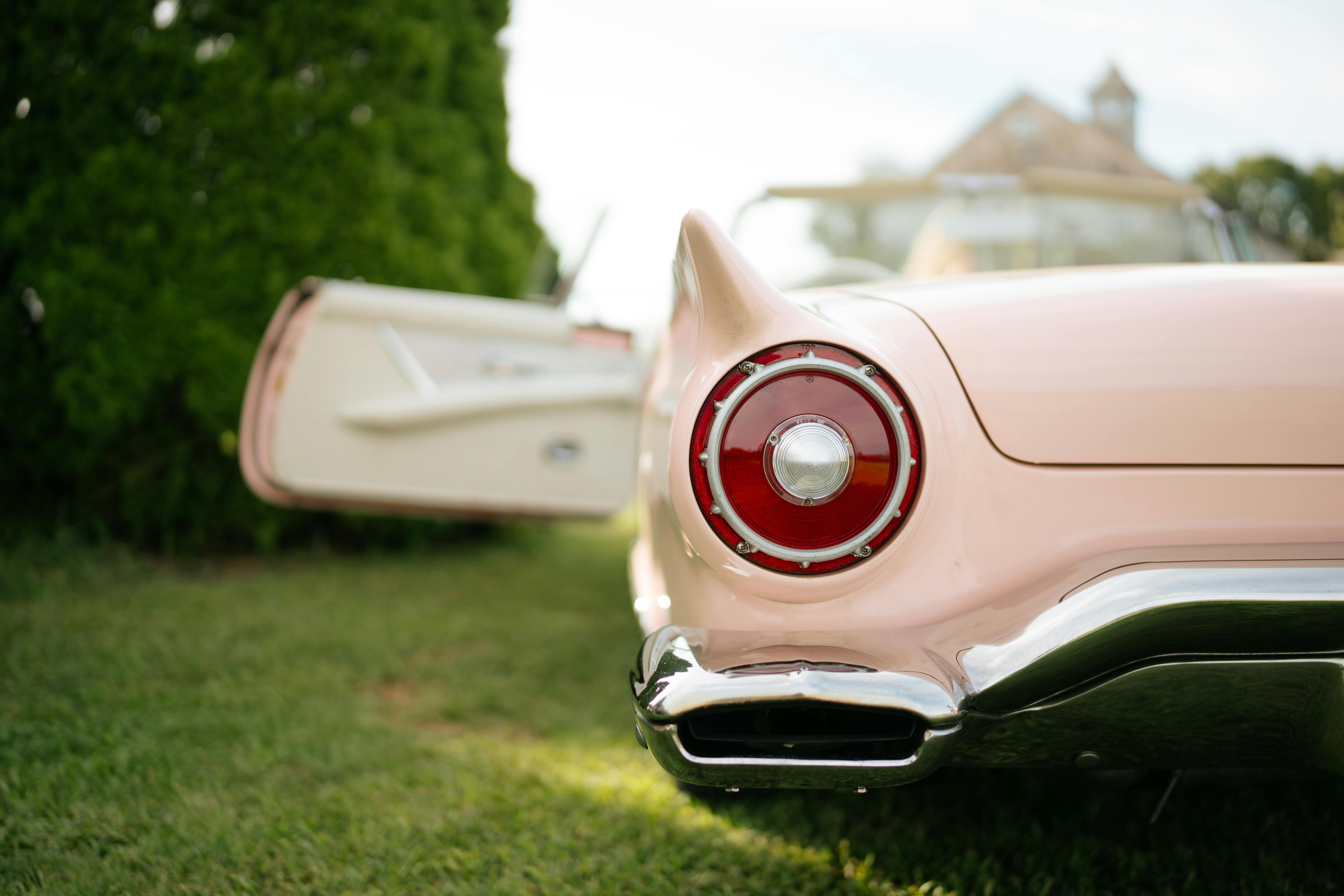 Gros plan sur l'arrière d'une voiture ancienne, portière ouverte, dans un jardin luxuriant.