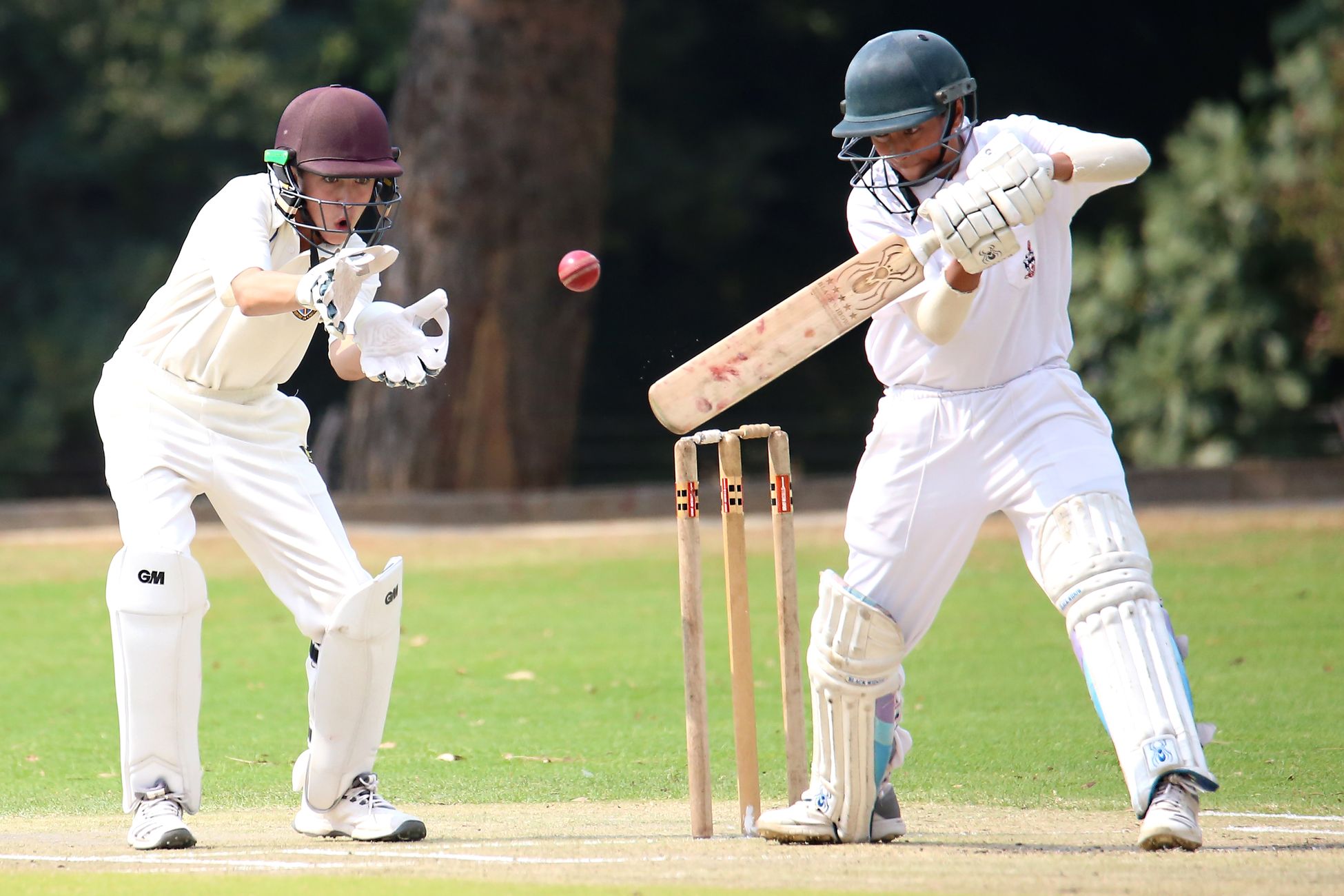 Warwickshire can win Championship, says Dan Mousley