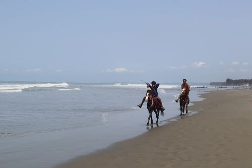 Free Two riders on horseback enjoy a leisurely ride along a pristine beach with gentle waves. Stock Photo