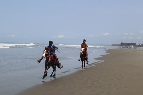 Free Two people enjoy horseback riding along a serene beach, under clear blue skies. Stock Photo