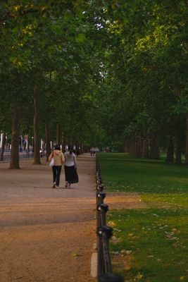 Promenade au coucher du soleil dans un parc anglais