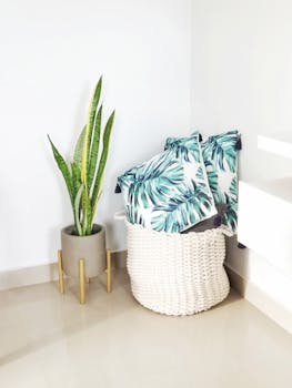 明亮的角落布置着盆栽蛇植物和绿叶垫篮，营造出现代装饰风格