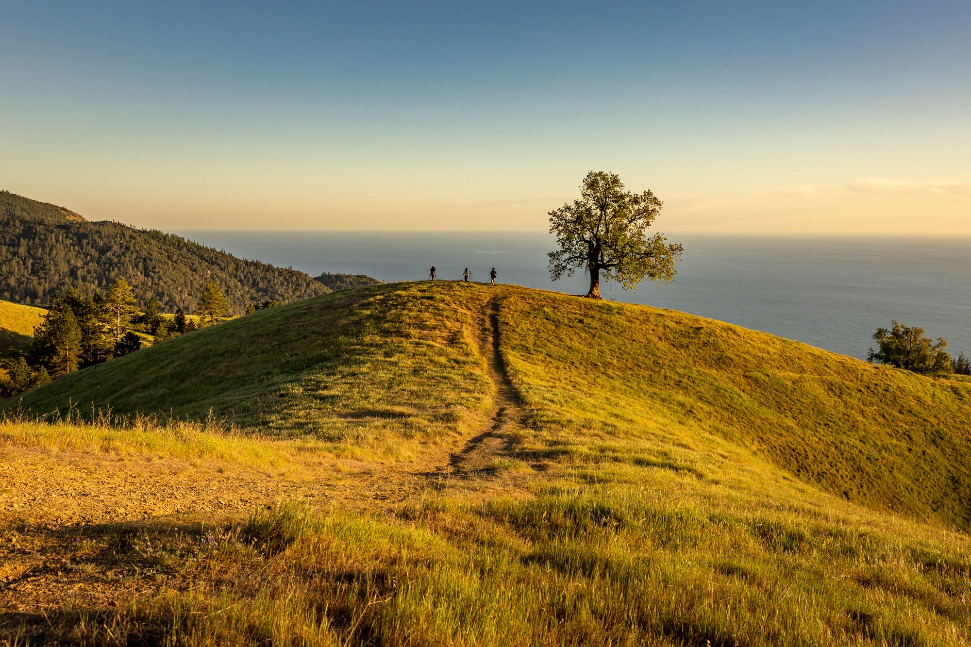 Hikers on a coastal trail, ocean behind them, forested mountains ahead