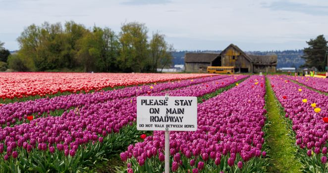 Travel inspiration