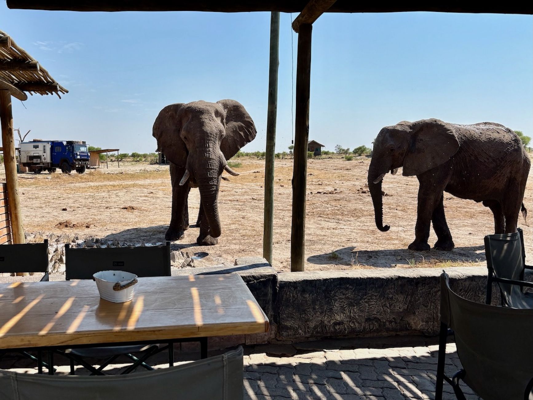 An Adventurer's Mana Pools Self-Drive Itinerary