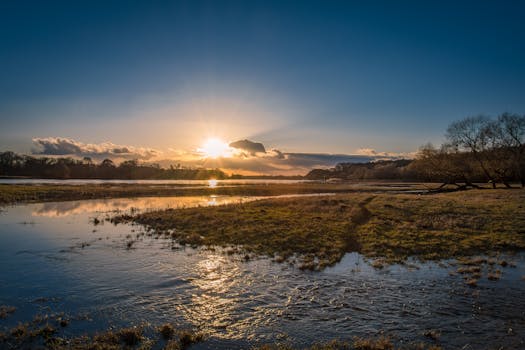 宁静的日出下，阳光映照着河流与郁郁葱葱的草地，天空一片晴朗