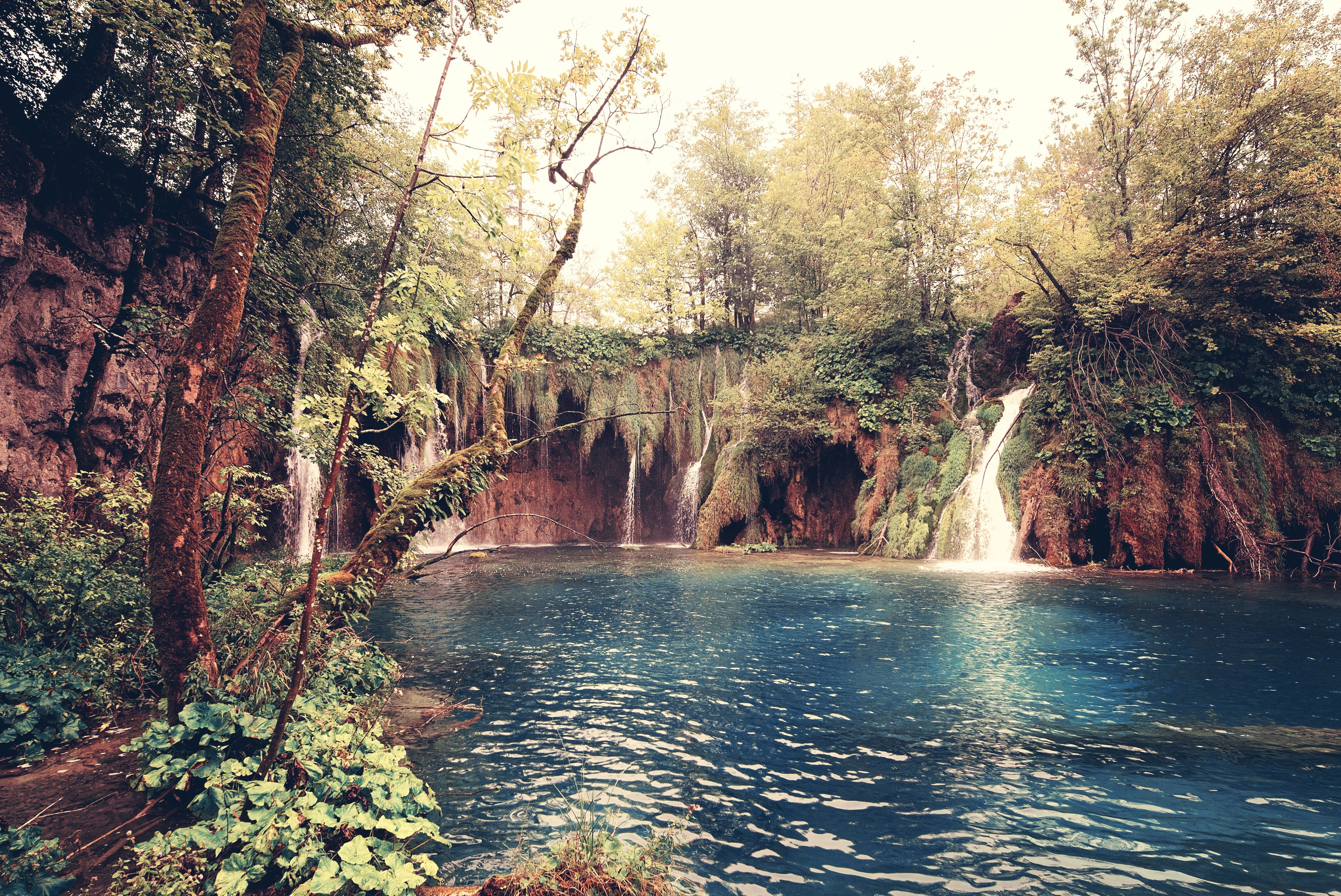 Tranquil Waterfall in Lush Forest Landscape · Free Stock Photo