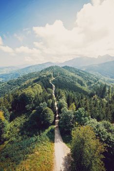 Stunning aerial shot of a forest pathway cutting through lush greenery under a bright summer sky.