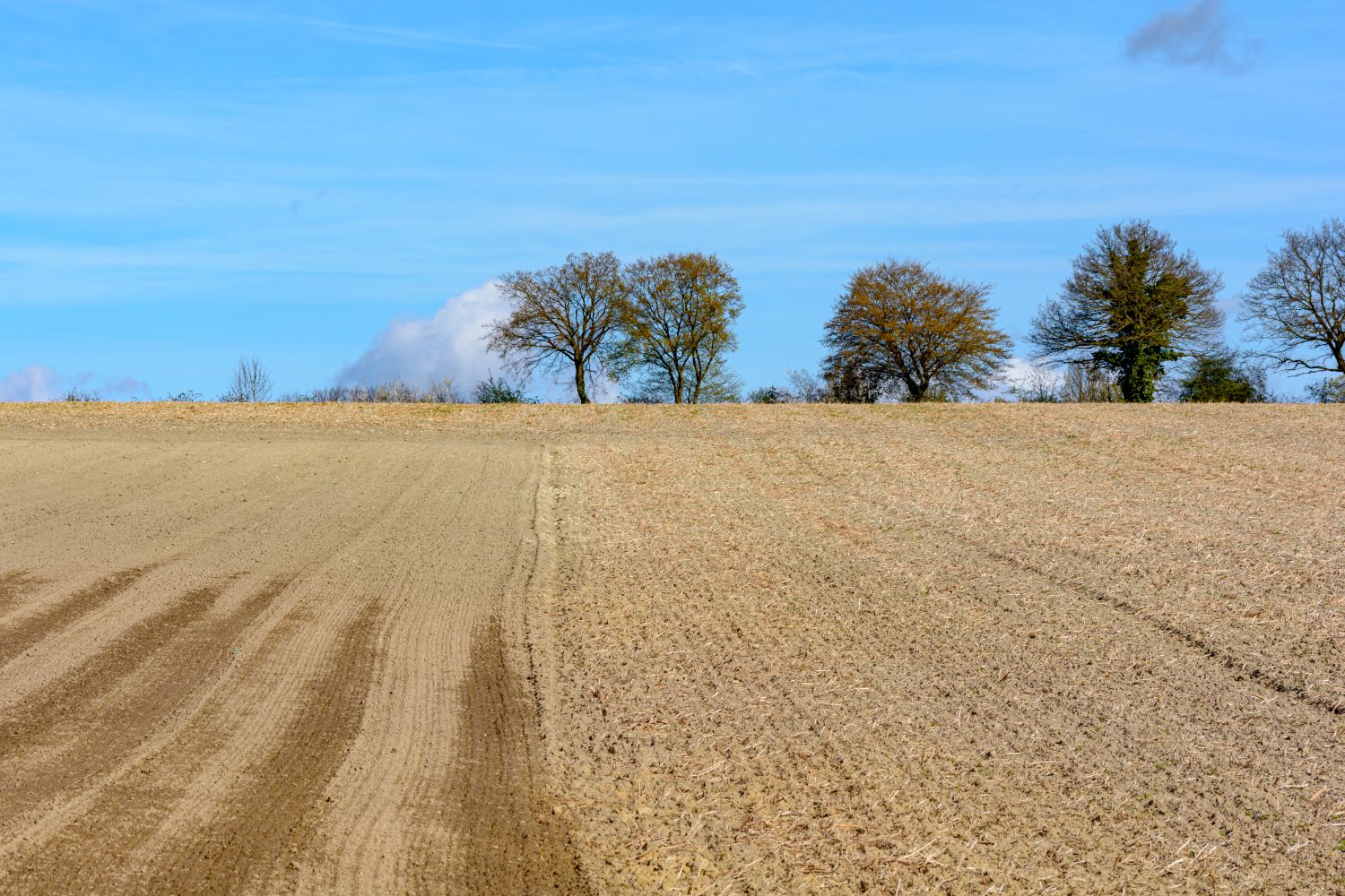 Cleared Field Photos, Download The BEST Free Cleared Field Stock Photos ...