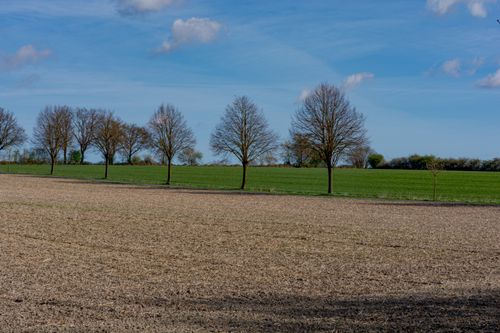 Free Peaceful rural landscape with bare trees and blue sky in Coesfeld, Germany. Stock Photo