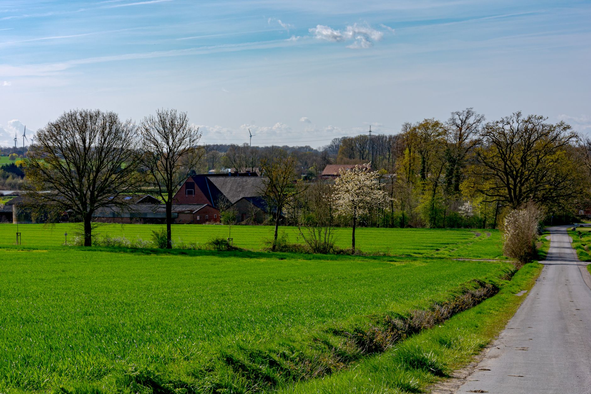 Das Windrad hinterm Feld