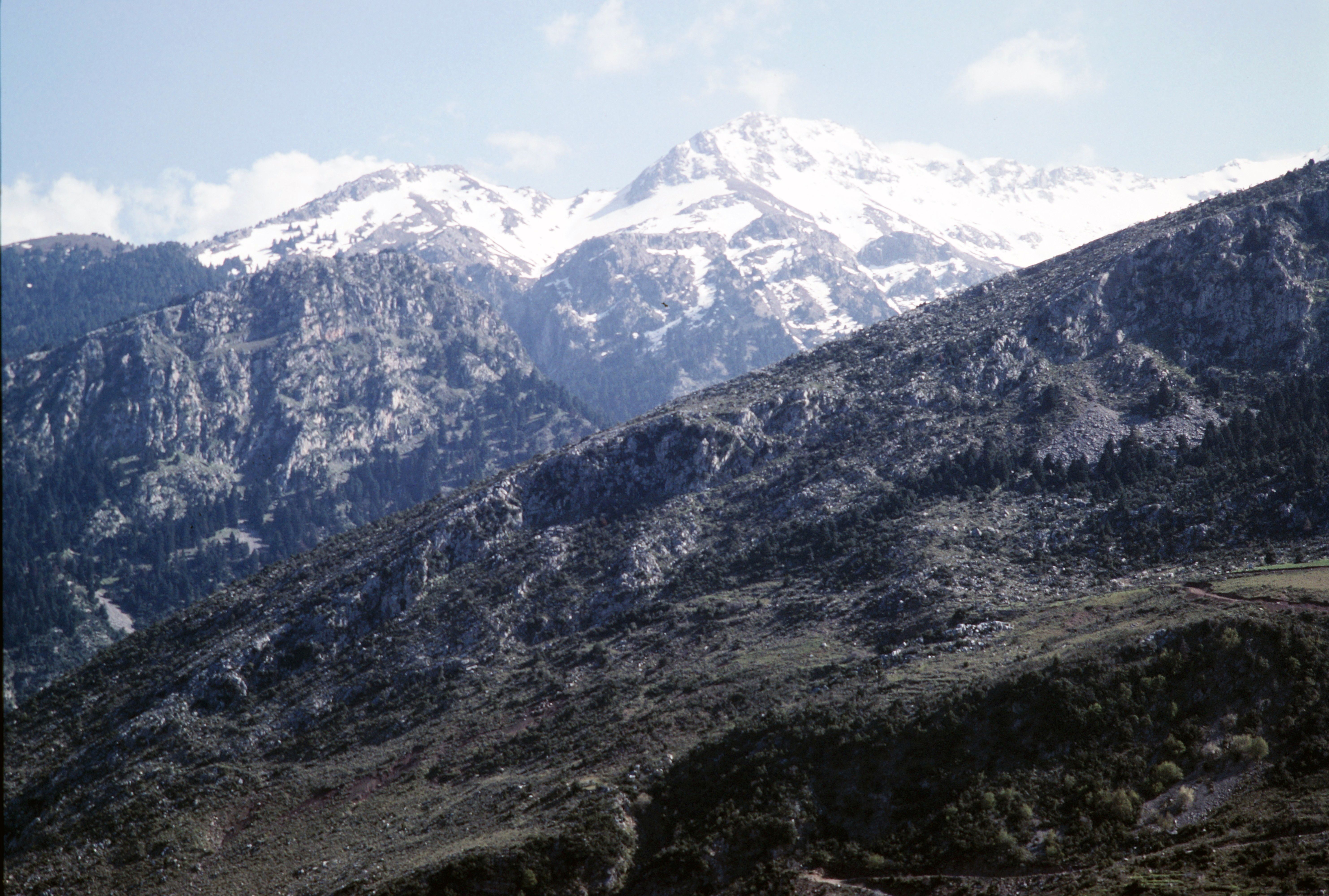 Rolling hills and olive groves in the Mount Parnassus region near Delphi