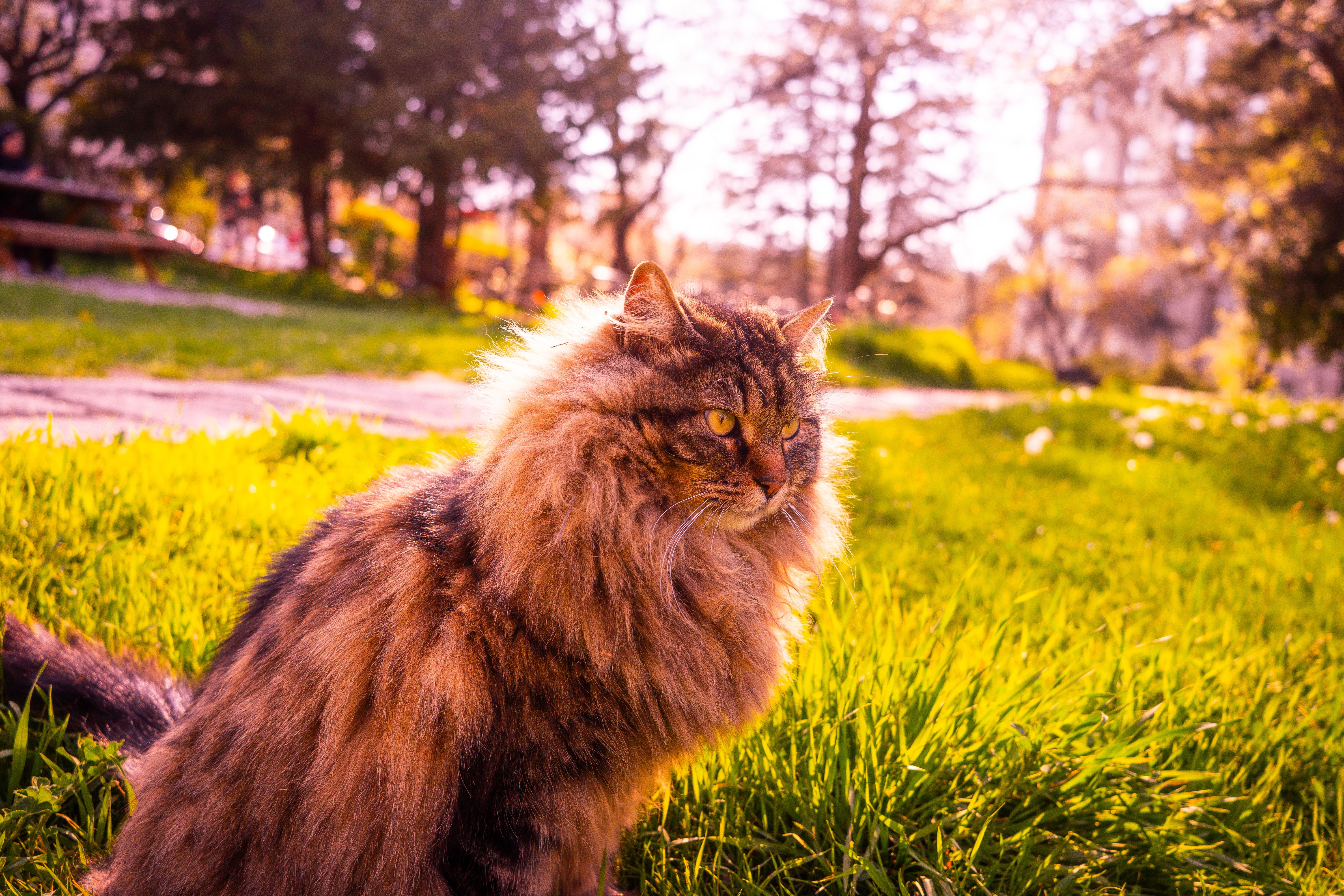 Small Pet Habitat Essentials Pack