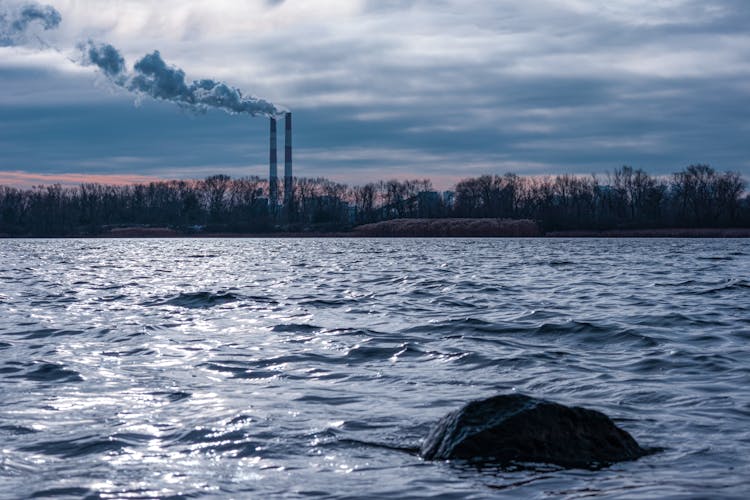 Smoke Stacks Behind Trees Near The Water